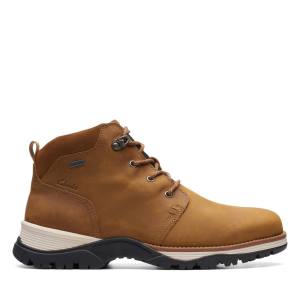 Botki Męskie Clarks Topton Mid GORE-TEX Brązowe | CLK390VPX