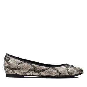 Buty Płaskie Damskie Clarks Couture Bloom Szare Wąż | CLK456RPE