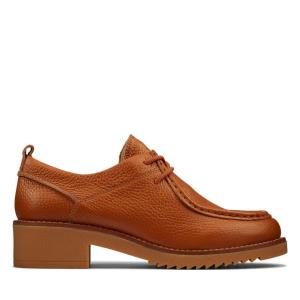 Buty Płaskie Damskie Clarks Eden Mid Koronkowe Ciemny Brązowe | CLK640MFZ