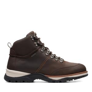 Originals Botki Męskie Clarks ToptonPine GTX Ciemny Brązowe | CLK571QAT