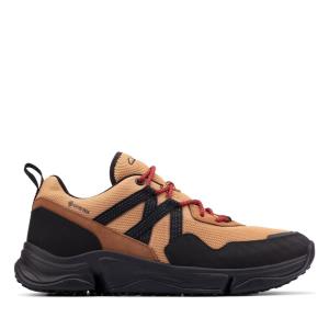 Trampki Męskie Clarks Tri Path Trek GORE-TEX Brązowe | CLK986OWQ