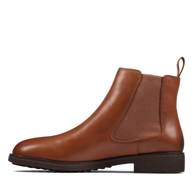 Botki Damskie Clarks Griffin Plaza Ciemny Brązowe | CLK158ZGE