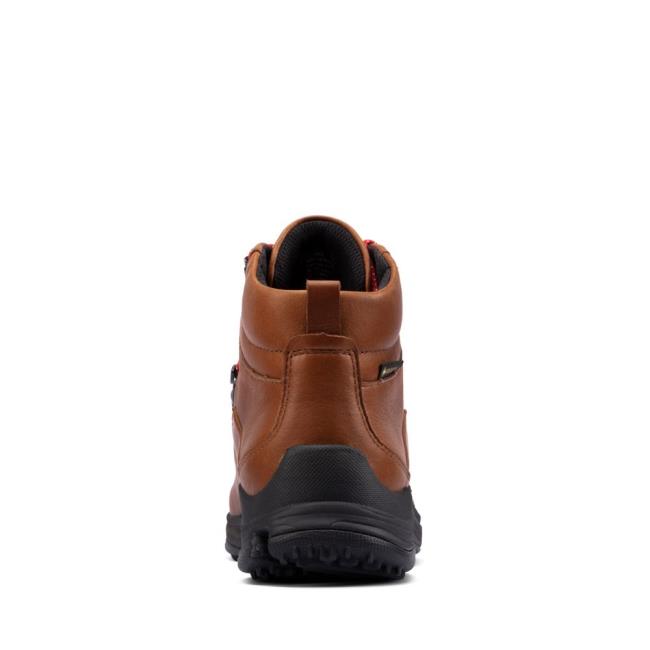 Botki Damskie Clarks Tri Path Day GORE-TEX Ciemny Brązowe | CLK642TKU