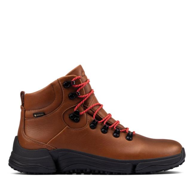 Botki Damskie Clarks Tri Path Day GORE-TEX Ciemny Brązowe | CLK642TKU