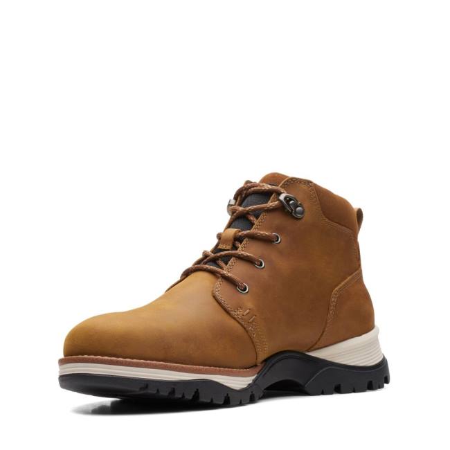 Botki Męskie Clarks Topton Mid GORE-TEX Brązowe | CLK390VPX