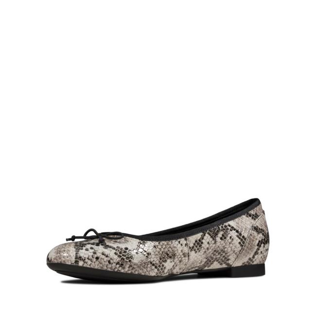 Buty Płaskie Damskie Clarks Couture Bloom Szare Wąż | CLK456RPE