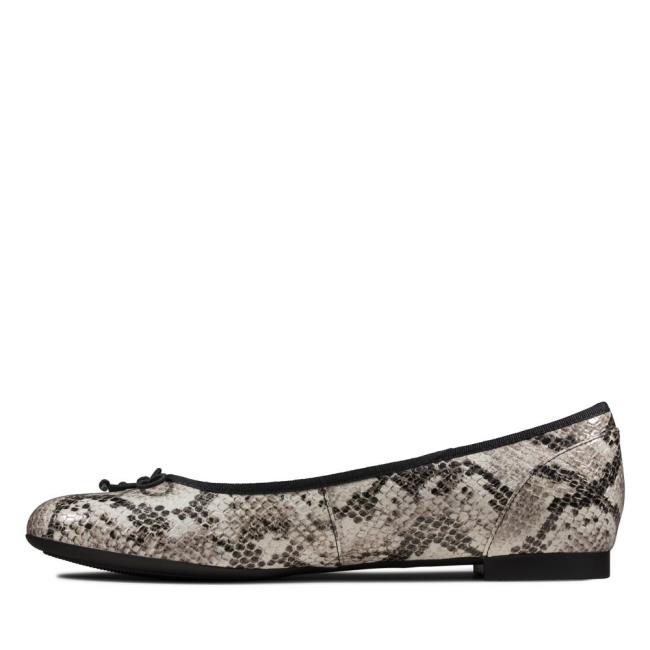 Buty Płaskie Damskie Clarks Couture Bloom Szare Wąż | CLK456RPE