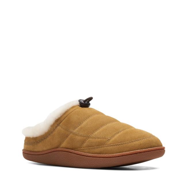 Kapcie Męskie Clarks Pilton Mule Zielone | CLK652CSF