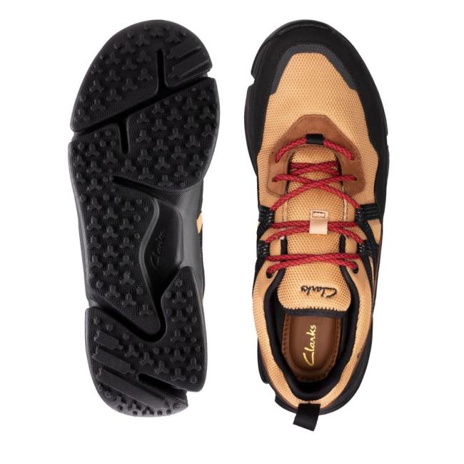 Trampki Męskie Clarks Tri Path Trek GORE-TEX Brązowe | CLK986OWQ